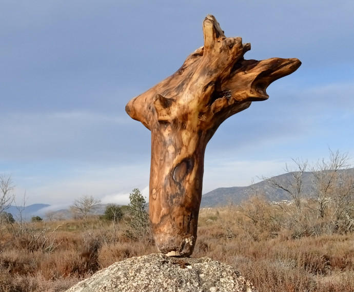 gabiart obra destacada llamada venado