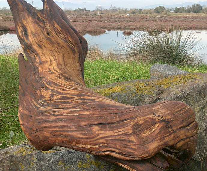 Obra de gabiart con madera a la deriva finalizada