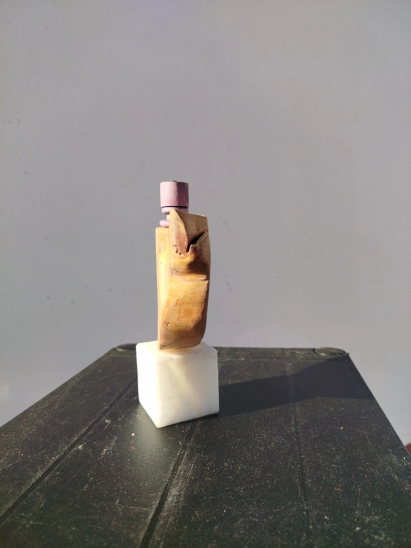 gabiart obra d'art Nova 9