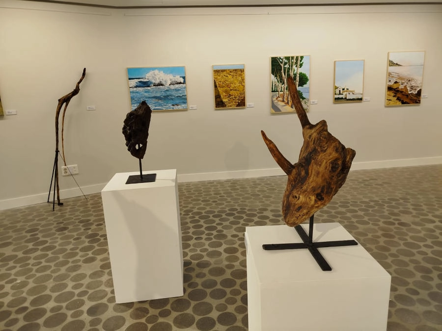 gabiart obra de arte Erizo de mar