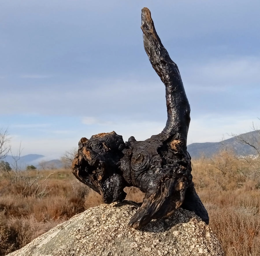 gabiart obra de arte Gato Negro