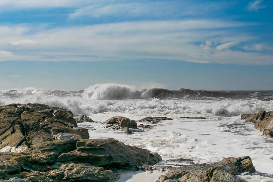 gabiart trabaja madera seleccionada por Gabriel Ramirez en el litoral