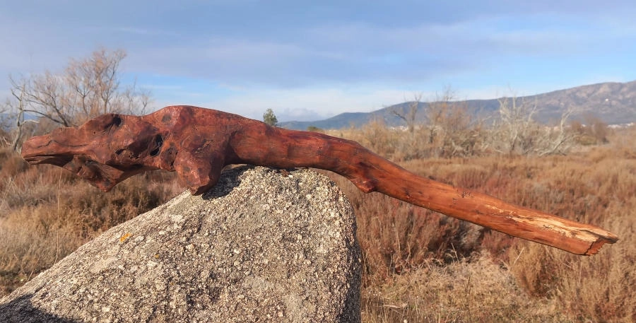 gabiart obra de arte Escualo