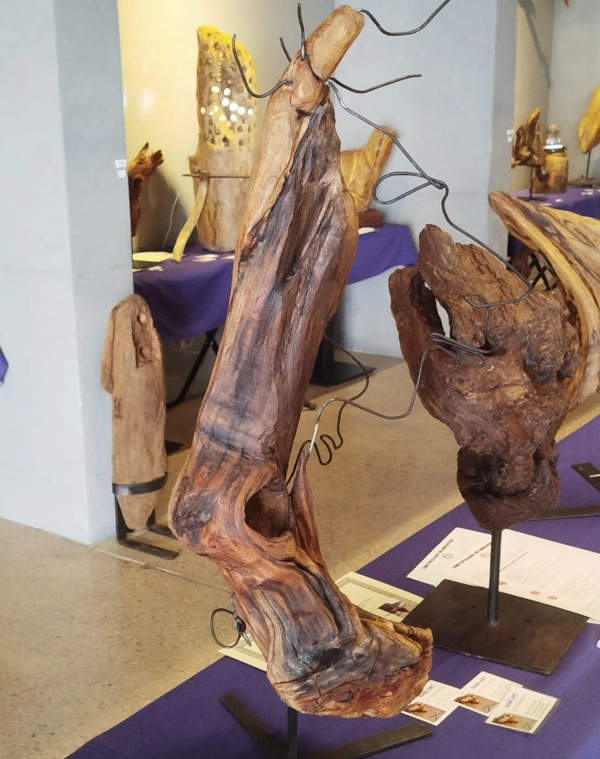 gabiart obra de arte Pasos