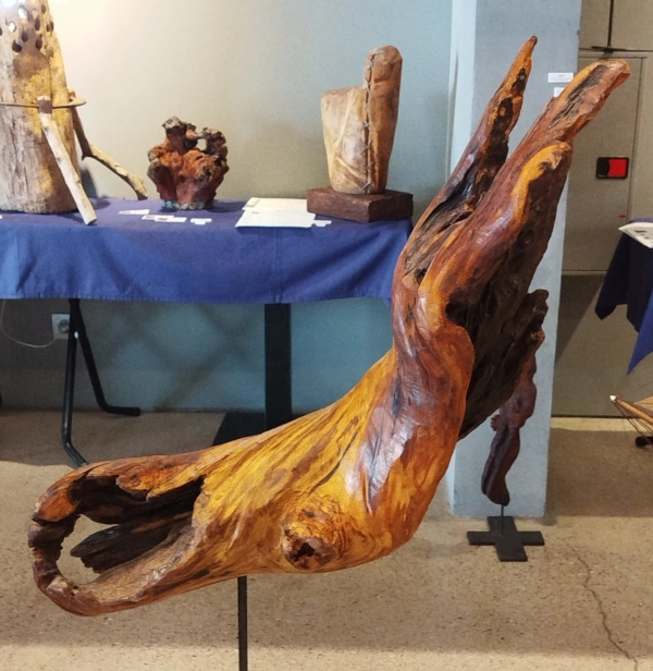 gabiart obra de arte Erizo de mar